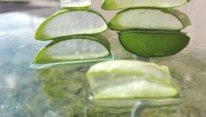 Aloe Vera benefits